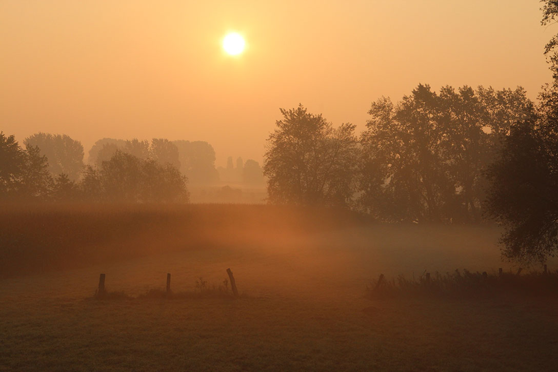 Meerbusch Sonnenaufgang Rheinwiesen